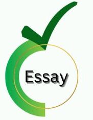 essay.bestcareeronline.com